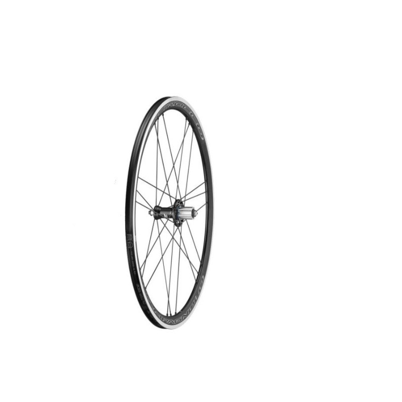 Rueda Trasera Campagnolo Scirocco C17 G3