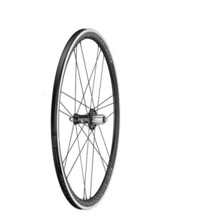 Rueda Trasera Campagnolo Scirocco C17 G3