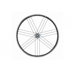 Rueda Trasera Campagnolo Zonda C17