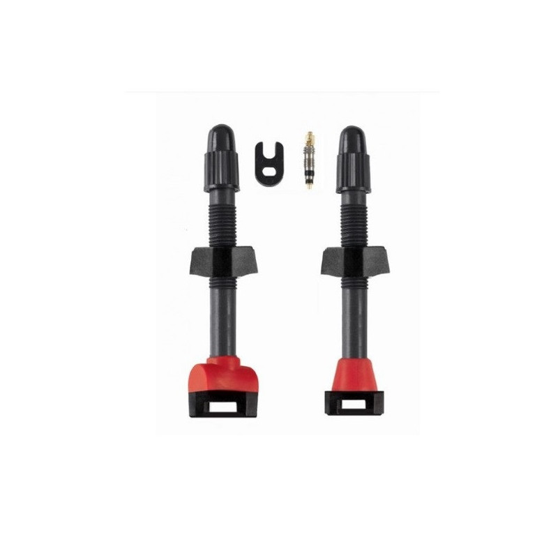 Valvola Tubeless Barbieri Carbonaria Presta 35 mm Pack 2