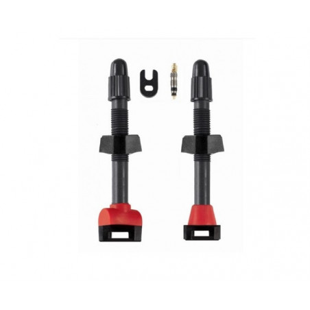 Valvola Tubeless Barbieri Carbonaria Presta 35 mm Pack 2