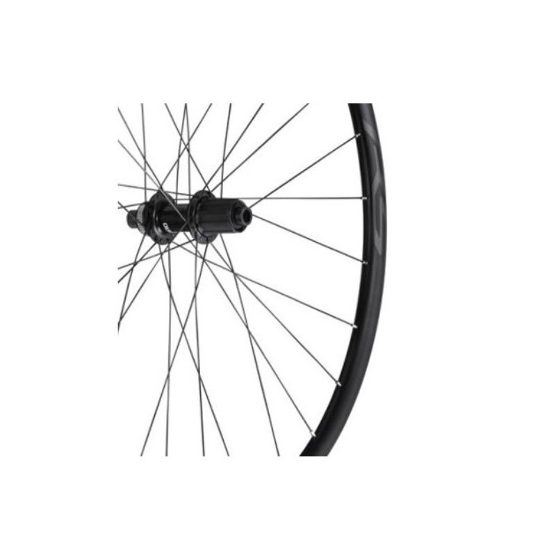 Rueda Delantera Shimano RS171 Disc Eje 12x100
