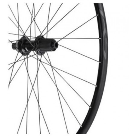 Ruota Anteriore Shimano RS171 Disc Eje 12x100