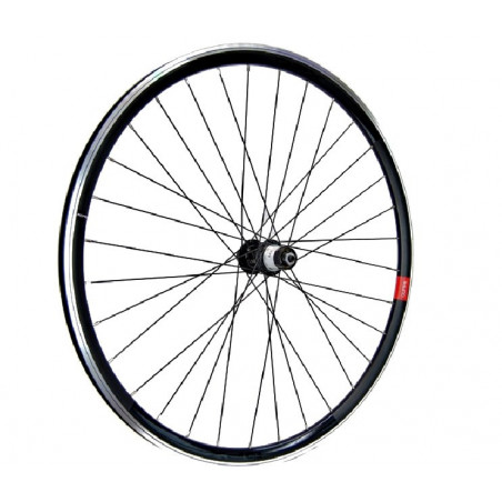 Rueda Trasera Gurpil DXP New Campagnolo
