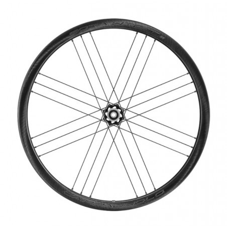 Rueda Trasera Campagnolo Bora WTO 33 Disc 2WF Cubierta Dark