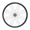 Rueda Trasera Campagnolo Bora WTO 33 Disc 2WF Cubierta Dark