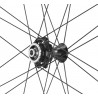 Ruedas Campagnolo Bora WTO 45 Disc 2WF Cubierta Dark