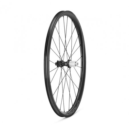Rueda Trasera Campagnolo Levente 30 Disc Carbon