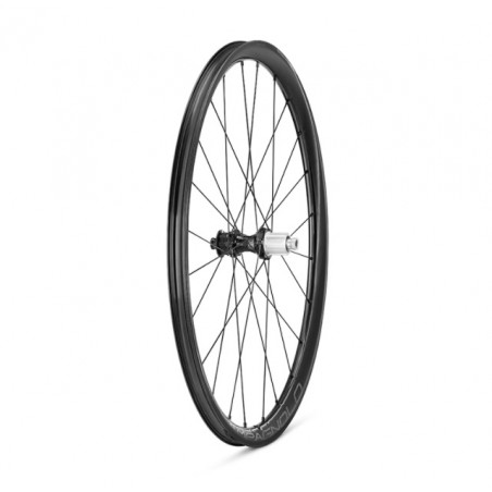 Rueda Trasera Campagnolo Levente 30 Disc Carbon