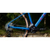 Bicicleta Marin BobCat Trail 3 29" Azul 2023