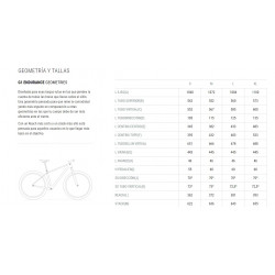 Bicicleta MMR Woki 50 29" Plata/Negro