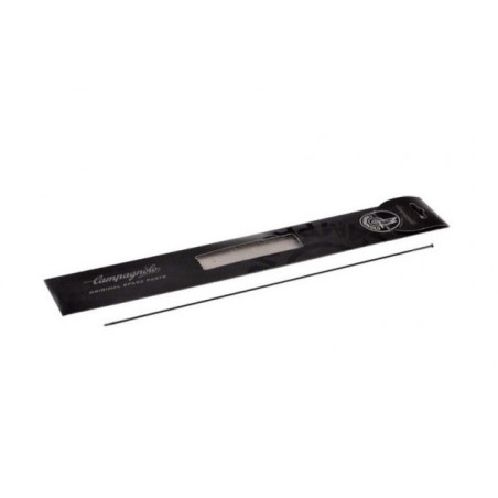 Radio Rueda Campagnolo Scirocco 35 Trasero Izquierdo