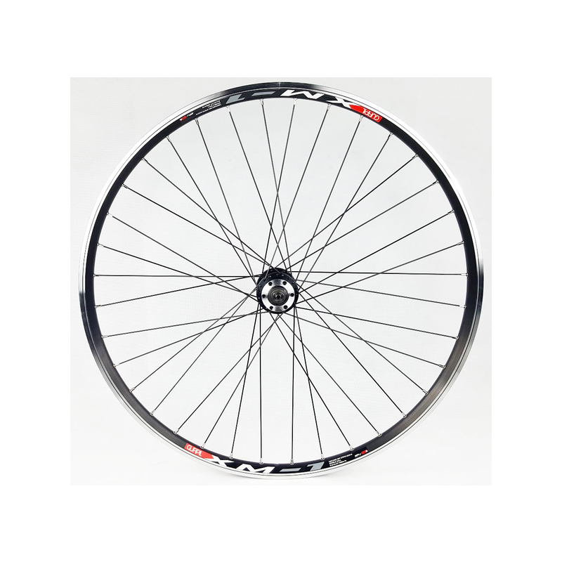 Rueda Delantera Gurpil XM-1 29" Disco 6 Tornillos Negro