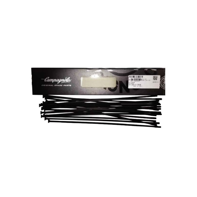 Kit Radios Campagnolo Shamal Negro Traseros KIT-24SHB