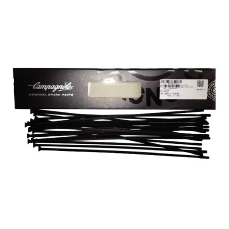 Kit Radios Campagnolo Shamal Negro Traseros KIT-24SHB