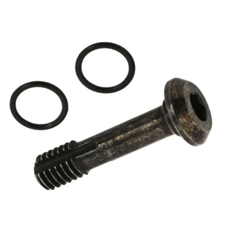 Tornillo Banjo y Juntas Tóricas Shimano BR-M8120