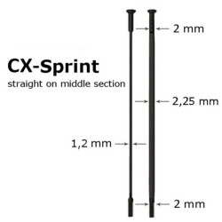 Radio Sapim CX-Sprint Stgraight Pull Negro 258X2 MM