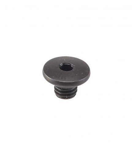 TORNILLO/JUNTA PURGA SANGRADO BL-M988