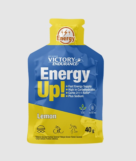 ENERGY UP V.ENDURANCE LIMON 40 GRS